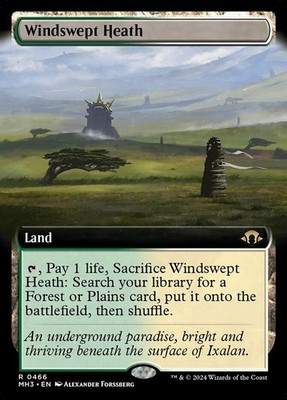 Light Play x 1 Windswept Heath - Foil - Extended Art Modern Horizons 3 Variants