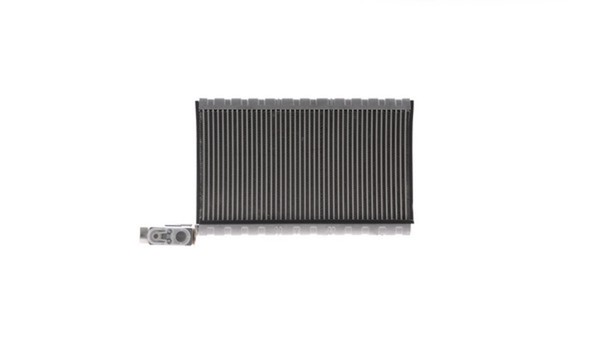Mahle Verdampfer Klimaanlage Premium Line AE 250 000P FüR Volvo FL 3 2-image