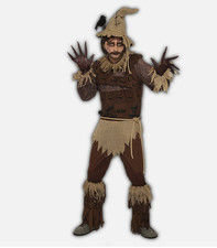 Rustic Scarecrow Adult Costume - STD One-Size