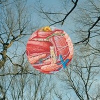 Y Might Be Giants - Glean - Cd - G1398Z