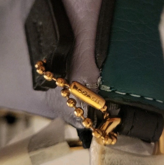 Coach Nolita 19 Pebbled Leather Horse & Carriage Logo Bag NWT Blue & Green Rare image 5
