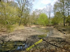 Photo 6x4 Dry pond, Putney Heath Although not bone dry, it was dry enough c2012