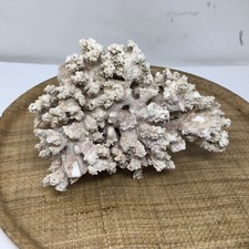 Natural Coral White Brown Piece 4 Pounds 9.5 x5 x6.5 Aquarium Coastal Decor