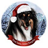 Holiday Pet Gifts Collie Tri Dog Santa Hat Porcelain Ornament