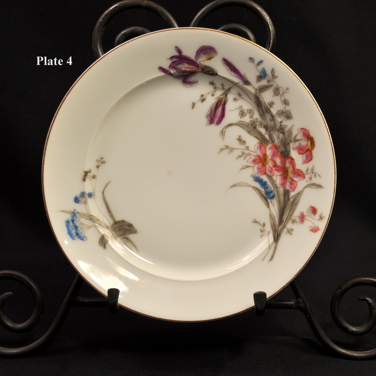 CFH Charles Field Haviland Limoges Set 7 Salad Plates Wild Flowers 1868-1881 HTF