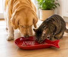 Rae Dunn AMERICAT Fish Pet Bowl Cat Dog 7.5&rdquo; Ceramic NEW in Original Box