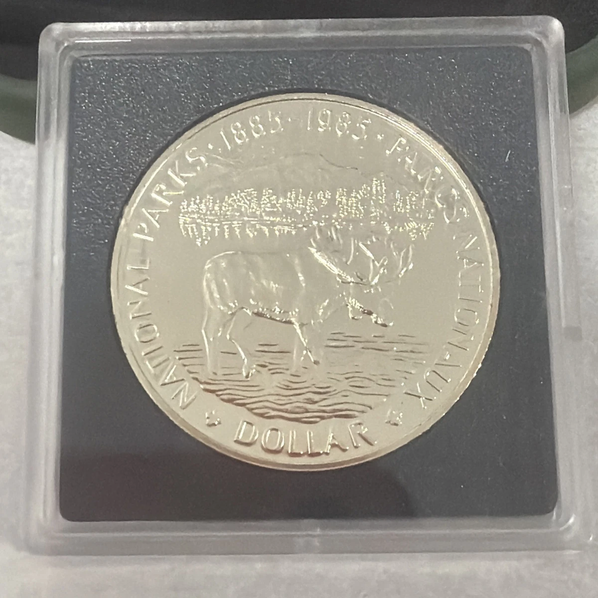 1985 canada silver dollar products for sale | eBay
