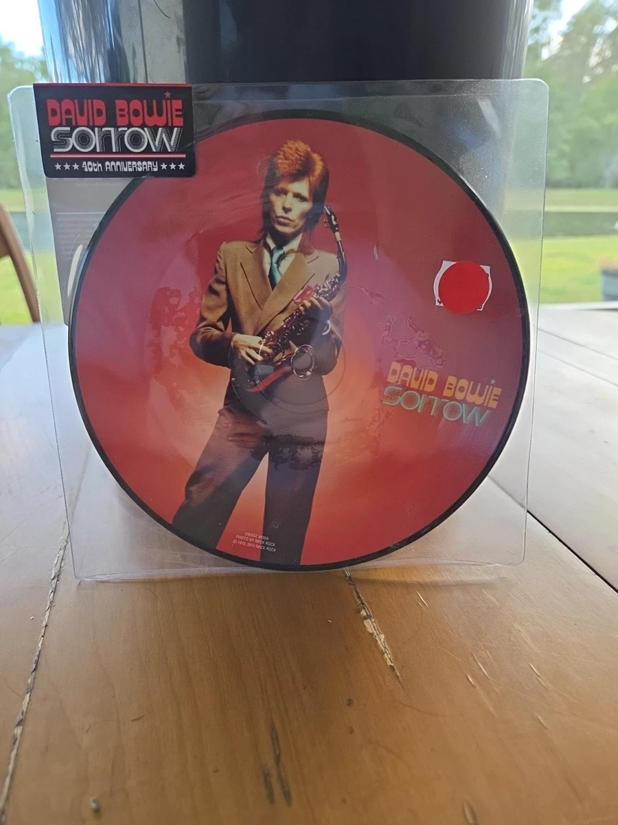 25+ David Bowie Picture Disc Music Records for sale | Updated Oct 2026