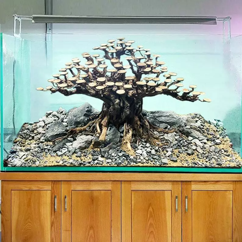 Driftwood bonsai large aquarium rock aquascape hardscape decorate fish tank  back
