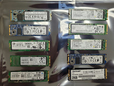 Lot of 10 Mixed Brand Model M.2 256GB SATA SSD Tested/Wiped