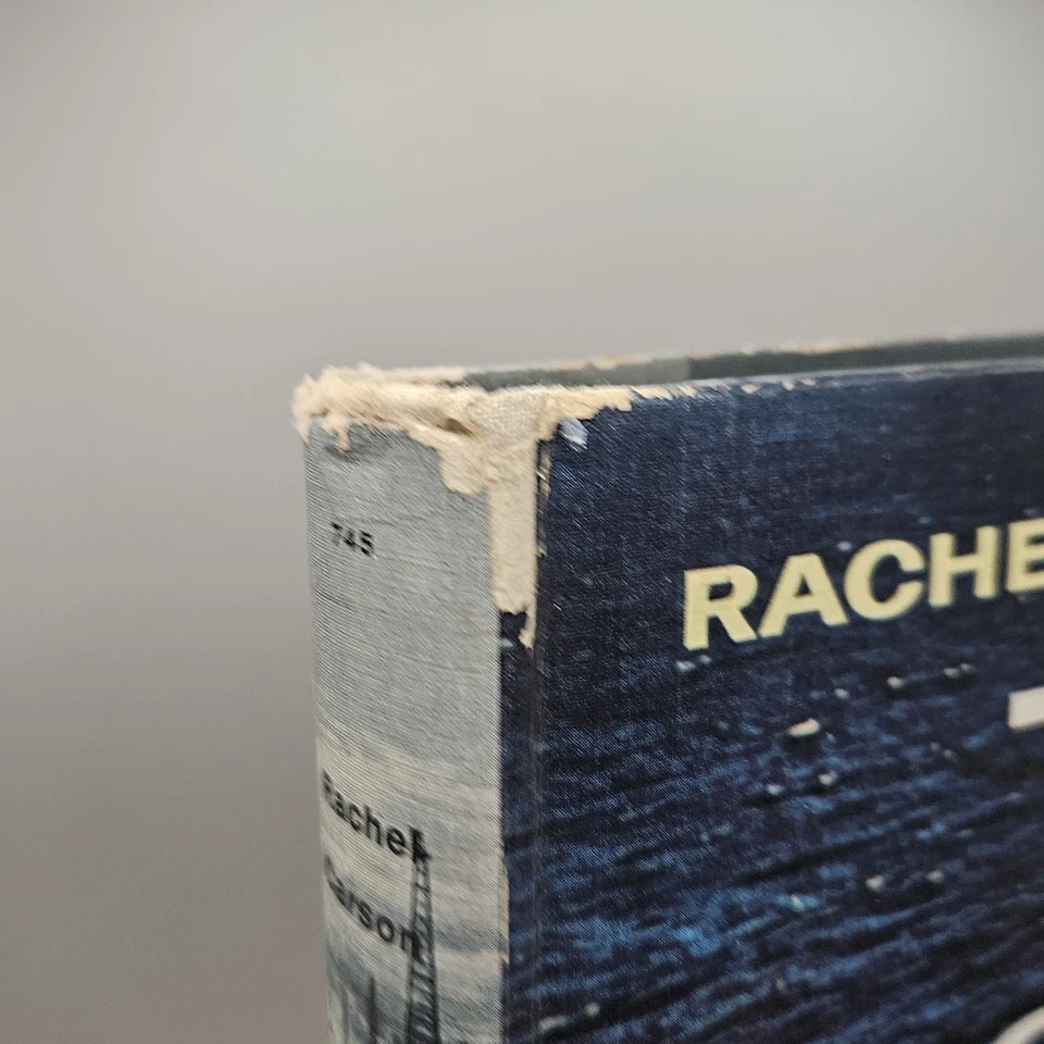 The Sea Around Us, Special Edition for Young Readers (Deluxe Golden Book) - Image 2 of 4