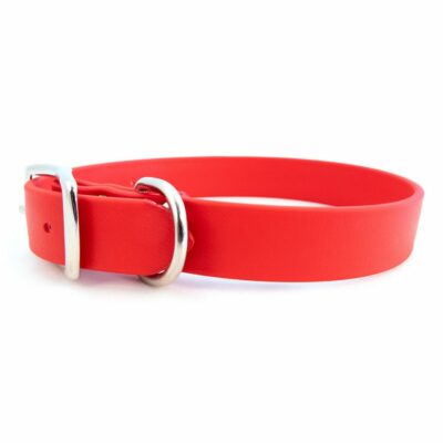 Auburn Leathercrafters Sparky s Choice Standard Buckle Collar - Comfortable Fit