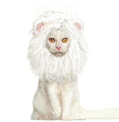 Lion Mane for Cats, Funny Pet Cat Costumes for Halloween Christmas, Furry Pet...