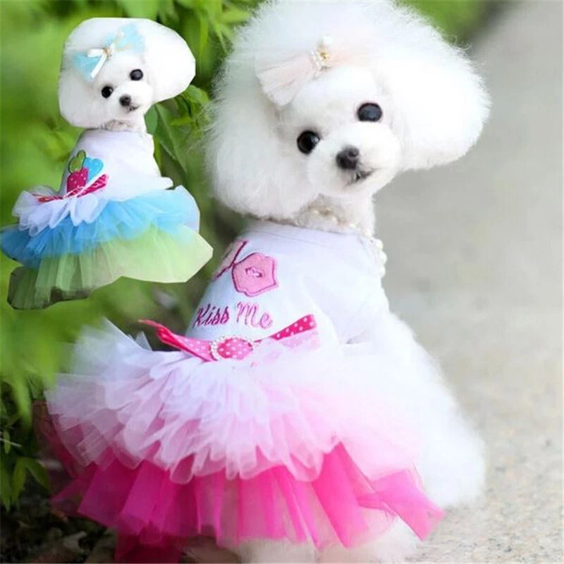 Cute tutu outfits cheap