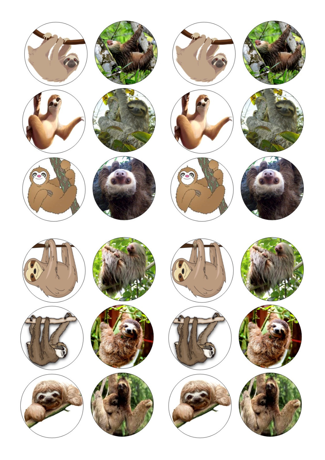 24 SLOTH / SLOTHS BIRTHDAY CUPCAKE TOPPER WAFER RICE EDIBLE FAIRY CAKE