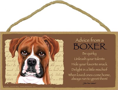 Advice From A Boxer Plaque 5'' x 10'' Wood Sign NEW