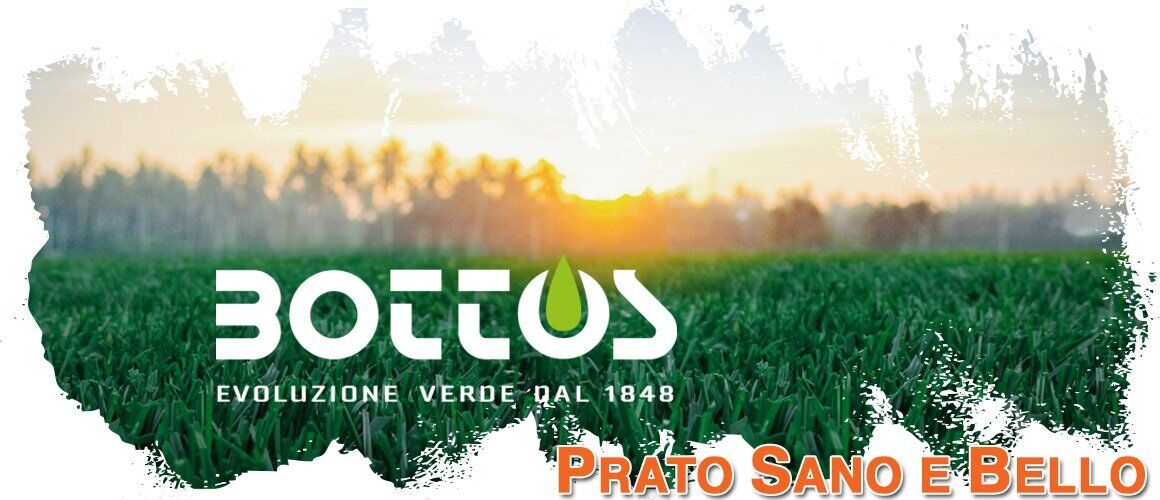 Foto 4 di 4