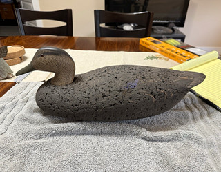 Wigeon Duck Wood Hunting Decoy Hand painted Brown 1pc