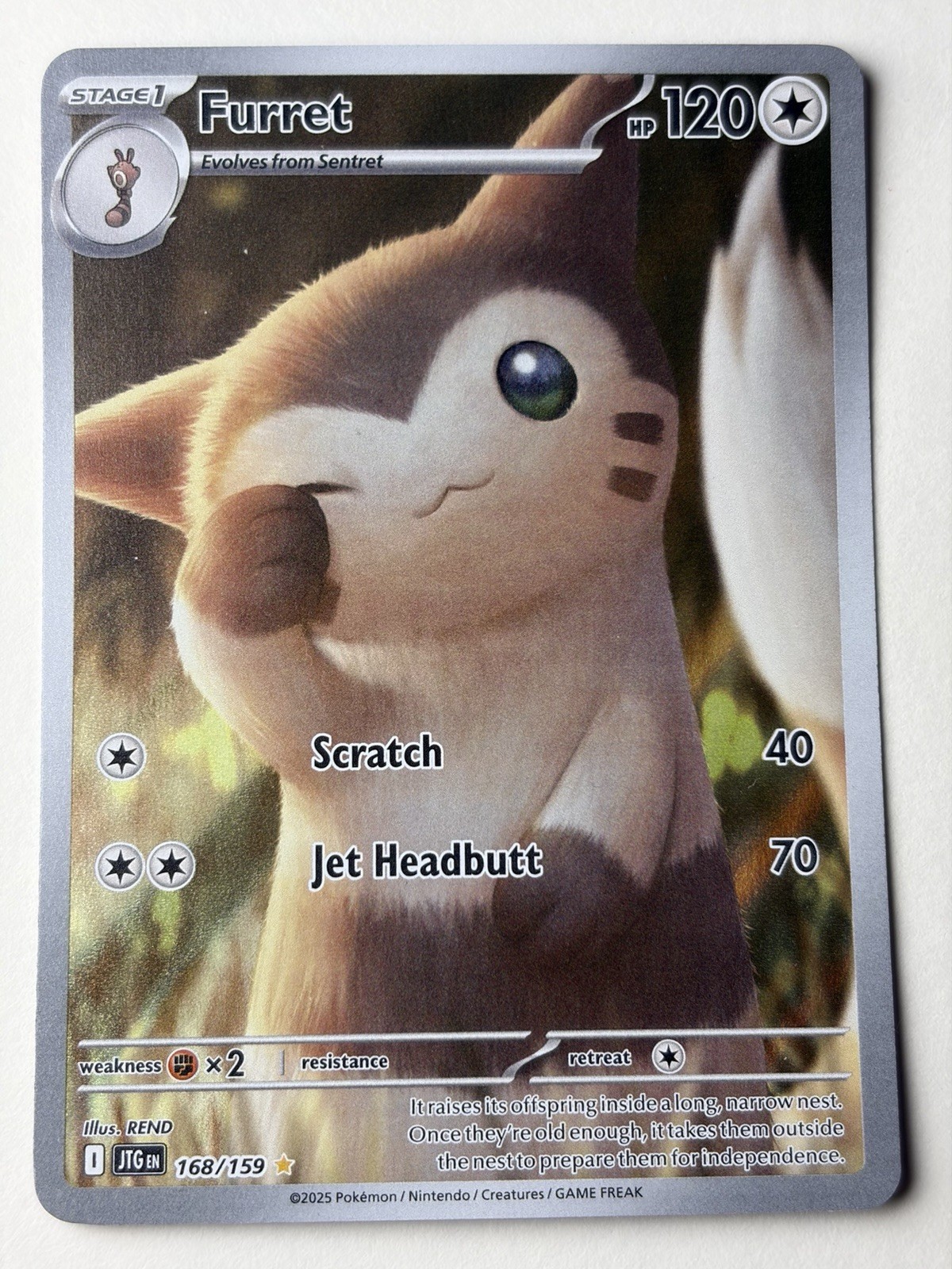 Pokemon TCG Furret 168/159Journey Together Illustration Rare Holo Full Art