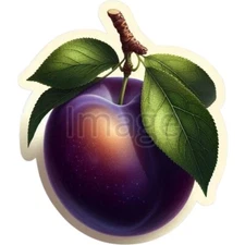 Plum Fruit  Art Digital Image Picture Wallpaper Background Desktop Print Sticker