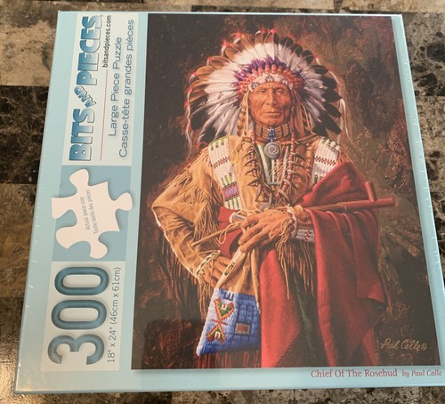 300 Large Piece Jigsaw Puzzle 