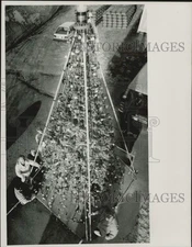 1990 Press Photo Volunteers String Lights on Floating Christmas Tree, Hadley, MA
