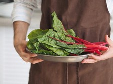 Swiss Chard Red Plug Plants "Grow Your Own" Vegetables 'Eco Friendly Packaging'