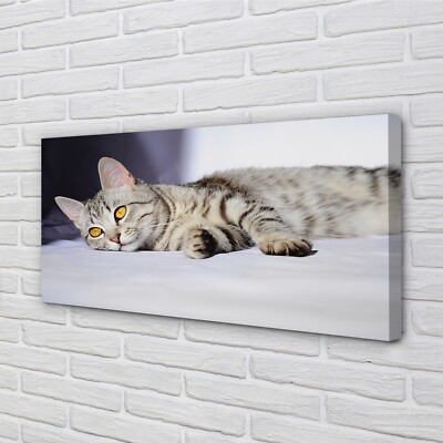 Tulup Leinwandbild 120x60 Wandkunst liegend Katze