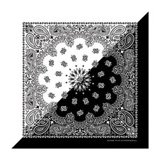 White/Black Split Paisley 22x22 Bandanna
