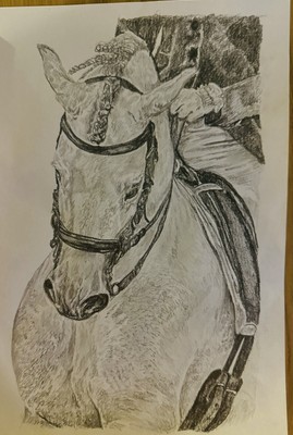 A4 GERAHMTES individuelles Haustierportrait Hund Katze Vogel Pferd personalisiert handgezeichnet