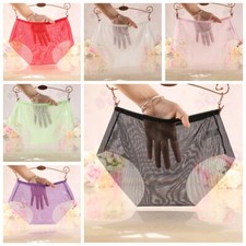 2x Lady Oversize Sheer Mesh Brief Panty Transparent Sexy Underpant Underwear Set