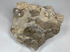 Bild 2 von 12