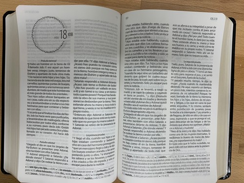 BIBLIA TEXTUAL IV EDICION SEMIPIEL DE REGRESO ALAS FUENTE NEGRO - Picture 8 of 9