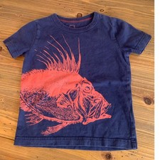 Mini Boden Blue Piranha T-shirt size 2/3 years