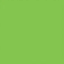 Testor Corp ~ All Scale ~ All-Purpose Enamel Paint ~ Sublime Green ~ 704-1125