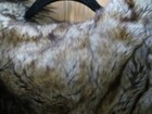 Bild 9 von 9