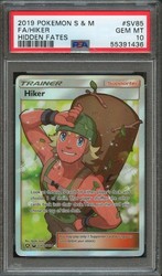 Hiker SV85 Hidden Fates: Shiny Vault Full Art Trainer