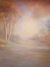 10'x20' Muslin Dreamy autumn mist Airbrush Painted Photo Background 46-320