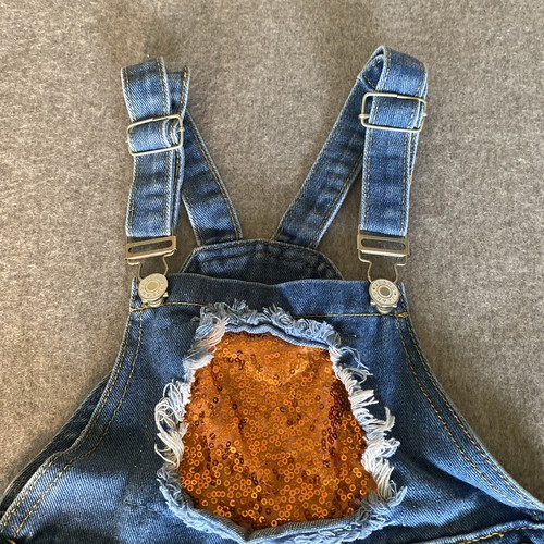 Fall/Autumn Themed Denim Bib Overall Sz 5 Unisex Adorable! - Picture 3 of 12
