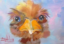 Delilah Ostrich impressionist bird 5x7 oil painting original COA
