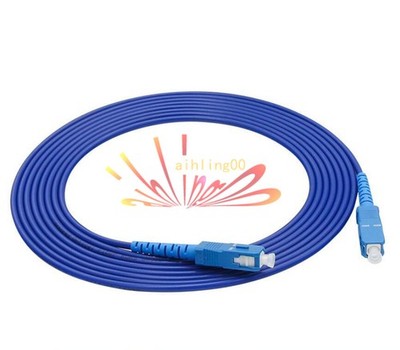 Indoor Armored Cable SC to SC SM 9/125 3.0mm Single Core Fiber Patch Cord 120M