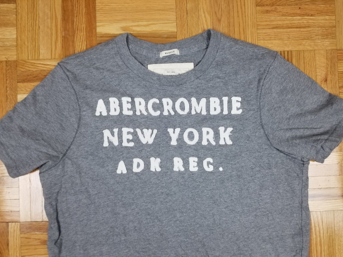 VINTAGE Y2K ABERCROMBIE AND FITCH GRAY MUSCLE T-SHIRT SZ LARGE | eBay