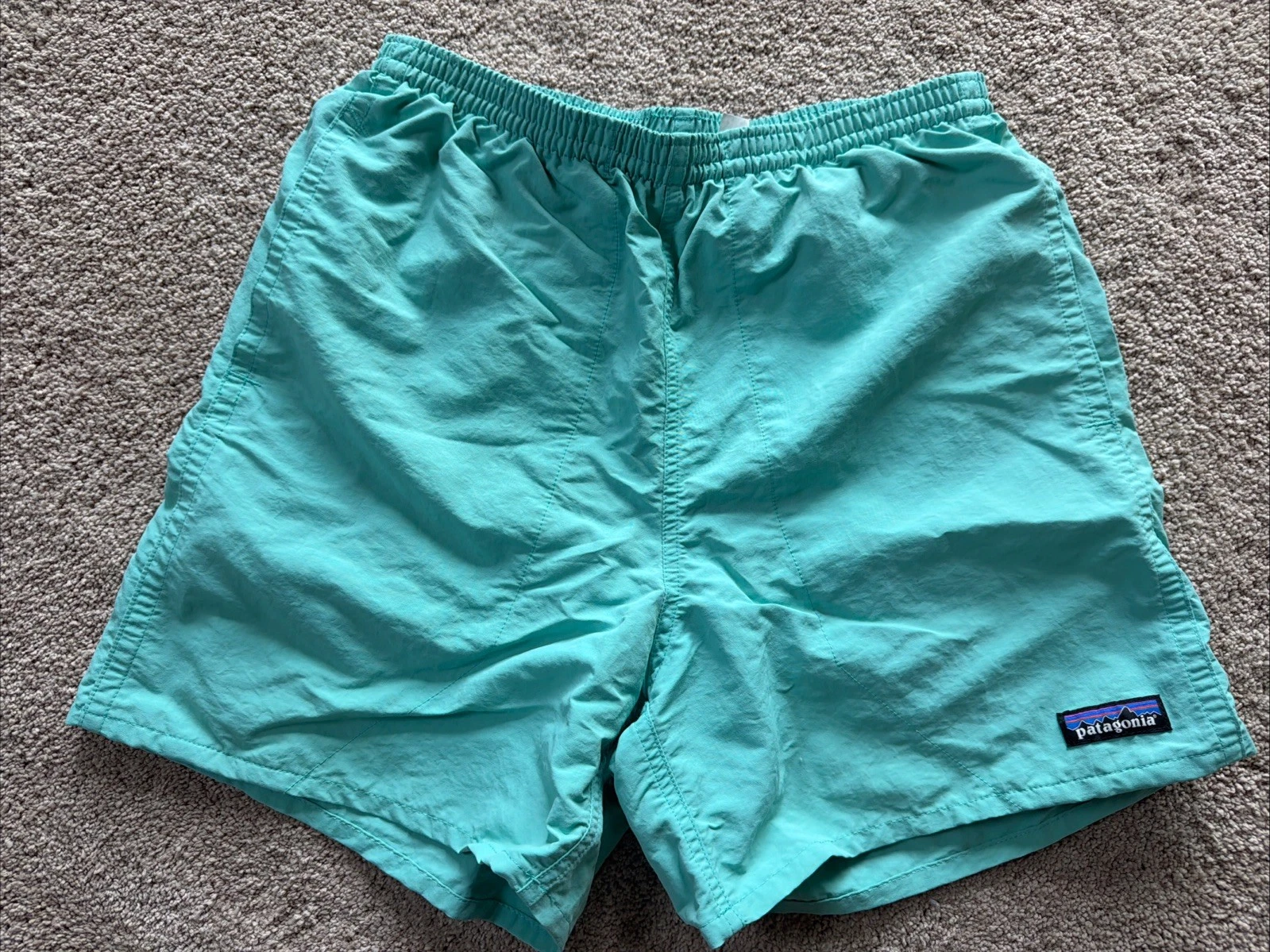 Patagonia Shorts Size XS Aqua Green Mens. 3 Pockets. Hiking Lined Inside