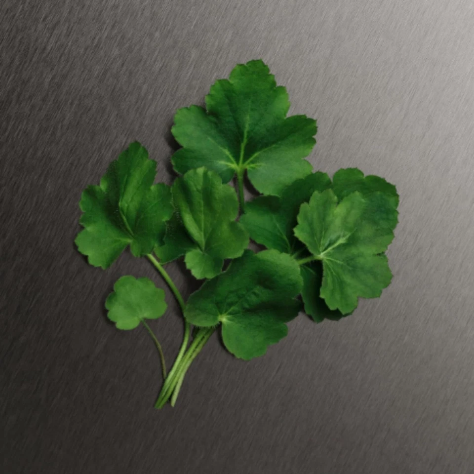 CK ETERNITY DEODORANT STICK 75ML BY CALVIN KLEIN FOR MEN’S ALCOHOL FREE PERFUM - image 2 of 4