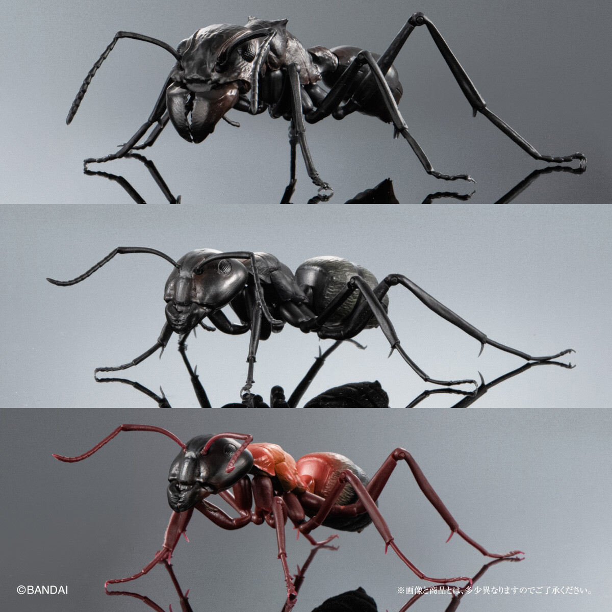 Bandai Ikimono Encyclopedia Ant series 3 types set no capsule | eBay