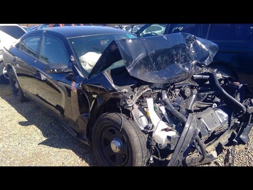 CHARGER 2019 Speedometer 391738 - Picture 3 of 12