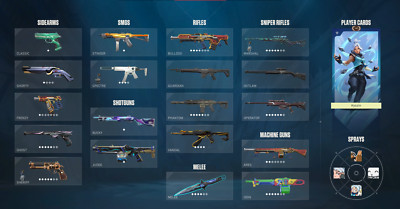 valorant account eu full acces