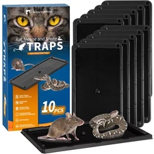 Mouse Traps Indoor for Home 10 Pack Bulk Sticky Traps with Peanut Butter Scen...