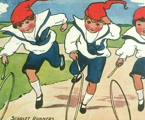 Edwardian Raphael Tuck Postcard Oilette Sandford Scarlett Runners Hoops c.1908
