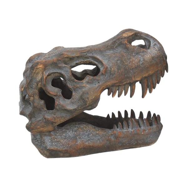 Nemesis Now Tyrannosaurus Rex Skull Freestanding Figurine 18.5Cm Grey-image